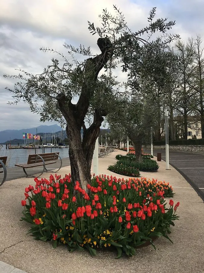 Cabà Holiday Bardolino D'Annunzio Appartamento